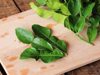 Kaffir Lime Leaves Substitutes For Your Beautiful Asian Meal