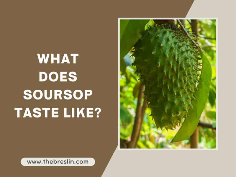 what-does-soursop-taste-like-the-answer-may-surprise-you-2023