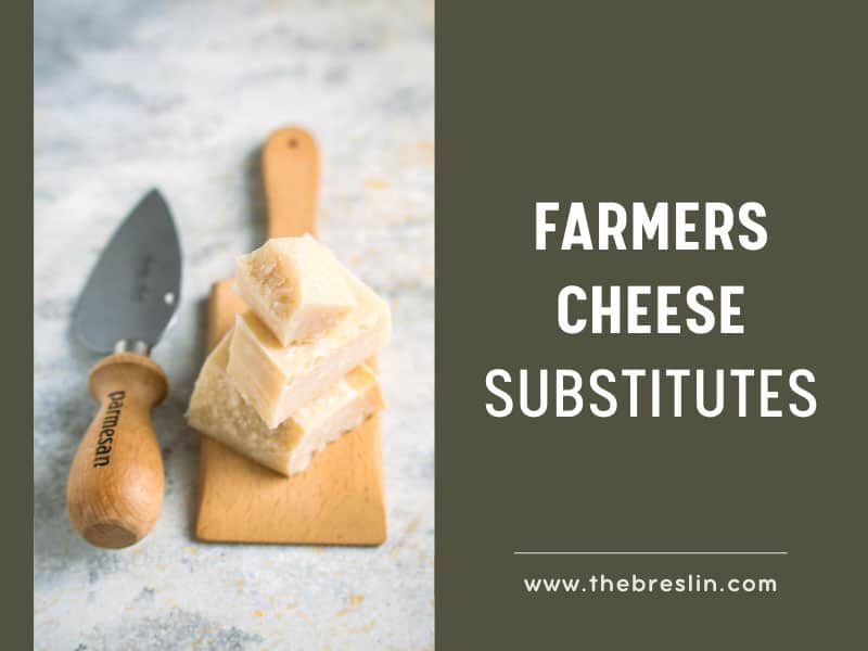 12-farmers-cheese-substitutes-options-to-diversify-recipes