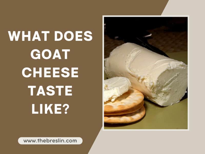 what-does-goat-cheese-taste-like-a-distinctive-taste-2023