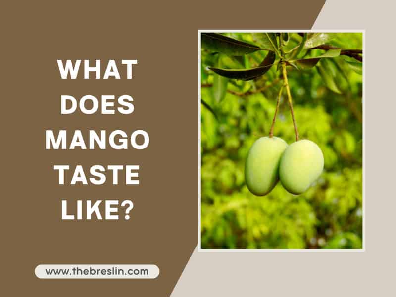 what-does-mango-taste-like-the-extensive-guide-2023